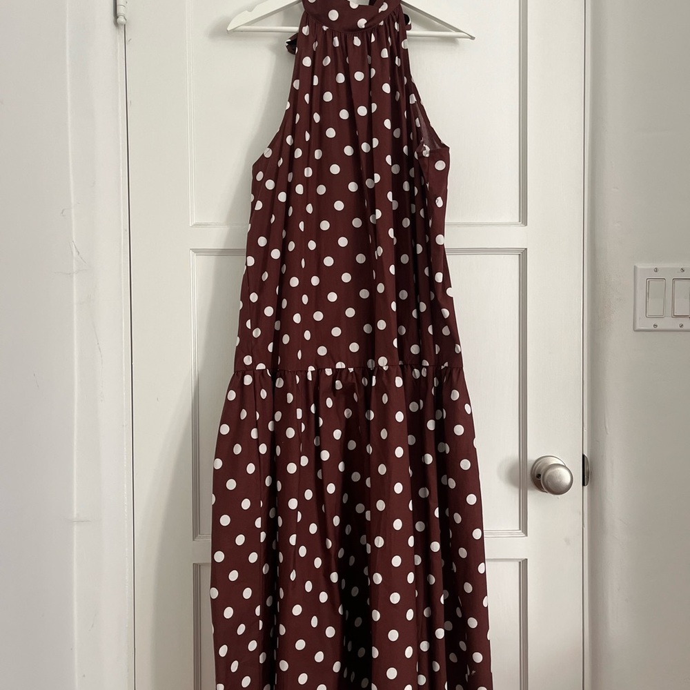 Anthropologie Brown and White Polka Dot Maxi Dress